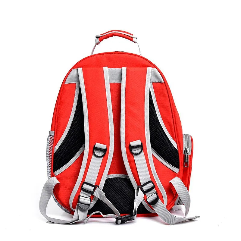 Airline Approved Pet Backpack - Transparent Space Capsule