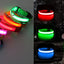 Usb Charging Glowing Dog Collar With Pendant Detachable Luxury Led Light Bright For Small Dogs Cat Night Safety Collar Wholesale
