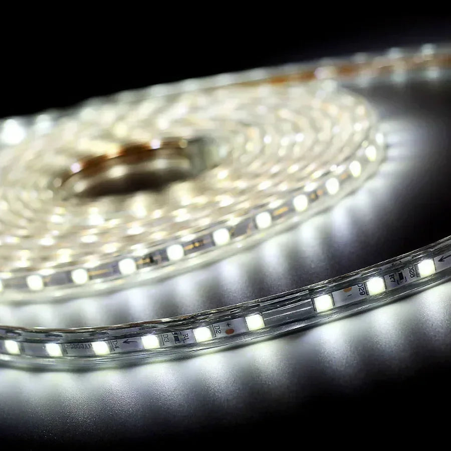 Led Strip Lights 220V Waterproof 1M 2M 3M 5M 10M 20M White Led Tape 220 Volt Red Green Blue Led Lighting 5050 Smd 60Leds/M Diode