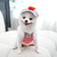Cartoon Pet Harness Leash Sun Hat Set Cute Kitten Puppy Costume Cat Small Dogs Vest Harness Rope Cap 3pcs Outdoor Pet Supplies