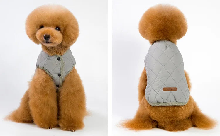 Jacket and Underwear Dog Clothes Autumn and Winter Clothes Small Medium Dog Fleece-lined Thickened Pet Vest Cotton Vest
