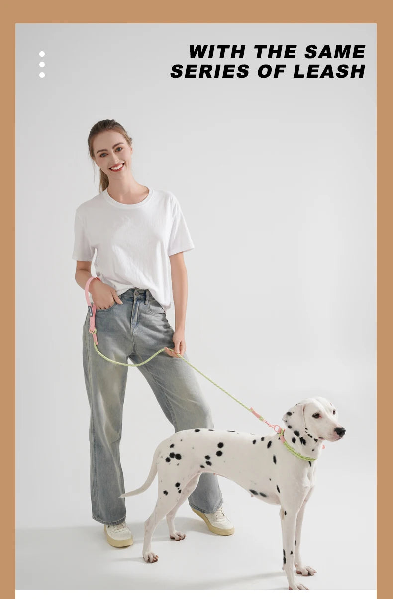 Pet Supplies Dog Collar For Small and Medium Dog Walking Sugar Color Series Cute style PVC Webbing Collar Leashes Set 2024 New