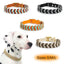 Dog Fashion Collar For Ladies Handmade Design Pet Colorful Neck Ring Small Medium and Large Dogs Lead-collar Wear Supplies