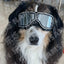 Pet Glasses New Dog Locomotive Glasses Sunglasses Medium and Large Dog Goggles Windproof Sunscreen Pet Accessories