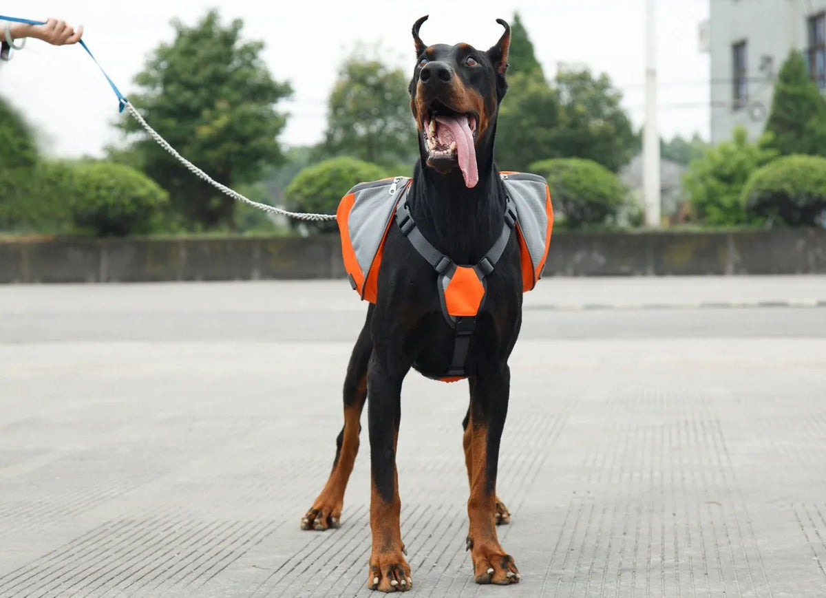 Oxford Fabric Outdoor Dog Backpack Double snack bag, dog training bag Waterproof Reflective Saddle Bag Medium Large Dog Tactical