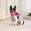 Waterproof Dog Jacket with Harness - Winter Warm Coat for Small & Large Dogs (Labrador, Chihuahua, French Bulldog)