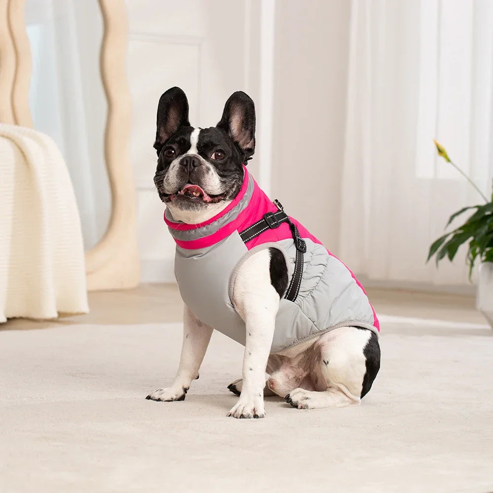 Waterproof Dog Jacket with Harness - Winter Warm Coat for Small & Large Dogs (Labrador, Chihuahua, French Bulldog)