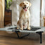 ‌Elevated Outdoor Pet Cot for Large Dogs, Heavy-Duty Frame Summer Camping Bed, Detachable Sunshade Canopy & Portable Dog Tent