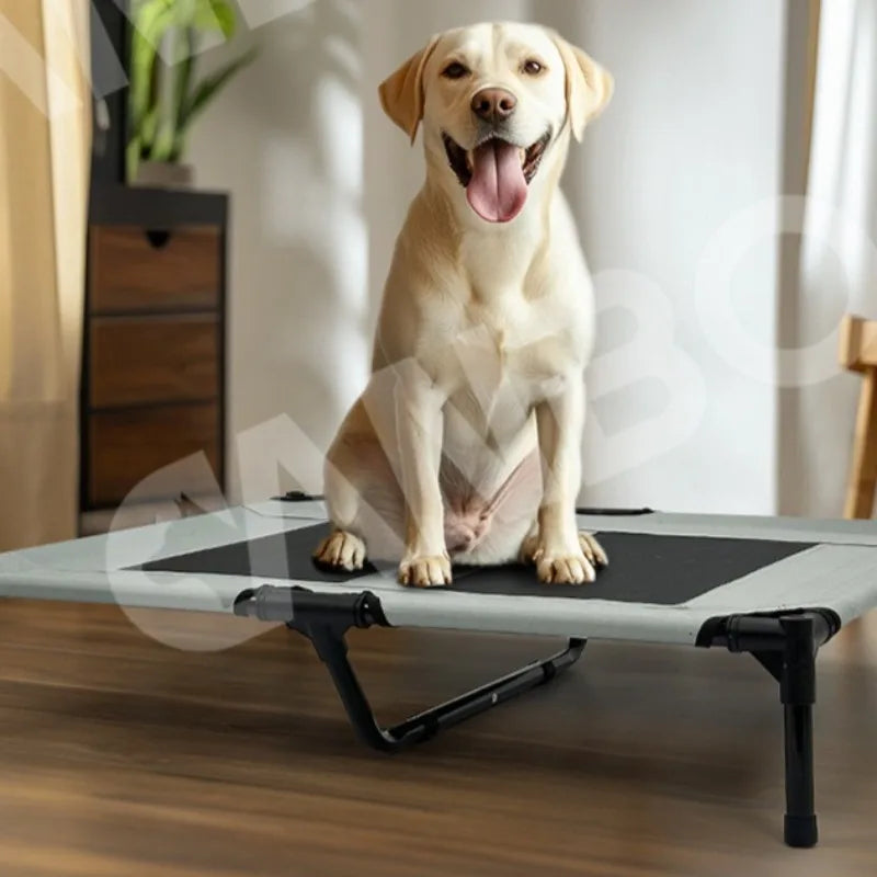 ‌Elevated Outdoor Pet Cot for Large Dogs, Heavy-Duty Frame Summer Camping Bed, Detachable Sunshade Canopy & Portable Dog Tent