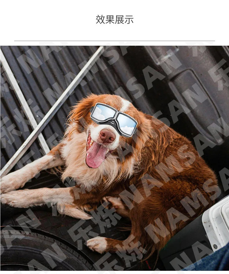 Pet Glasses New Dog Locomotive Glasses Sunglasses Medium and Large Dog Goggles Windproof Sunscreen Pet Accessories