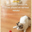 Rechargeable Interactive Pet Toy: Electric Automatic Rolling CatBall with Simulated Tail for Feline Entertainment and Engagement