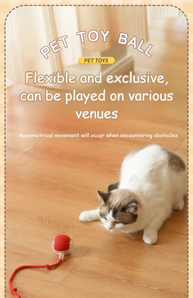 Rechargeable Interactive Pet Toy: Electric Automatic Rolling CatBall with Simulated Tail for Feline Entertainment and Engagement