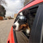 Transparent Color Pet Dog Goggles Waterproof Windproof Sunscreen UV Resistant Large Dog Glasses