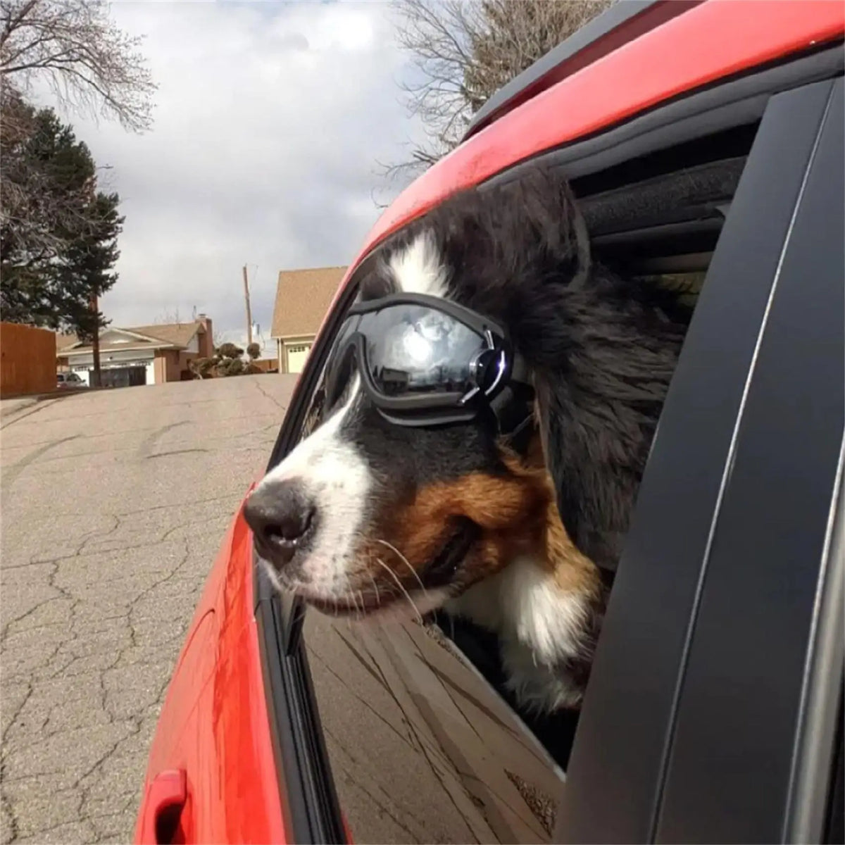 Transparent Color Pet Dog Goggles Waterproof Windproof Sunscreen UV Resistant Large Dog Glasses