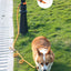 Dog Leash Hands Free Dogs Leash Reflective Leashes for Dog Walking Running Rope 2.4M Long Adjustable Double Leashes Dogs Ropes