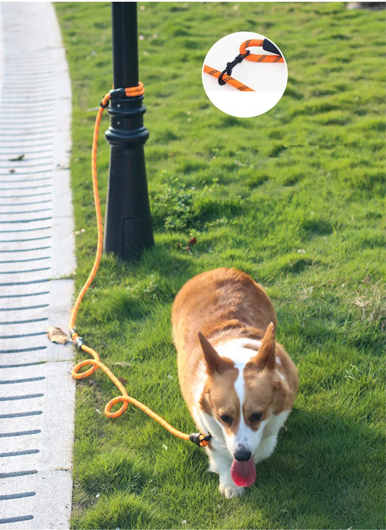 Dog Leash Hands Free Dogs Leash Reflective Leashes for Dog Walking Running Rope 2.4M Long Adjustable Double Leashes Dogs Ropes