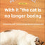 Rechargeable Interactive Pet Toy: Electric Automatic Rolling CatBall with Simulated Tail for Feline Entertainment and Engagement