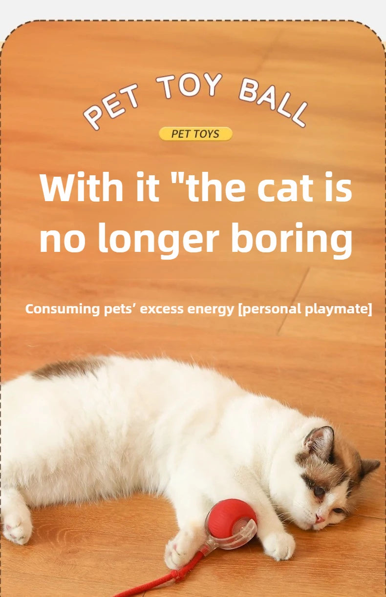 Rechargeable Interactive Pet Toy: Electric Automatic Rolling CatBall with Simulated Tail for Feline Entertainment and Engagement