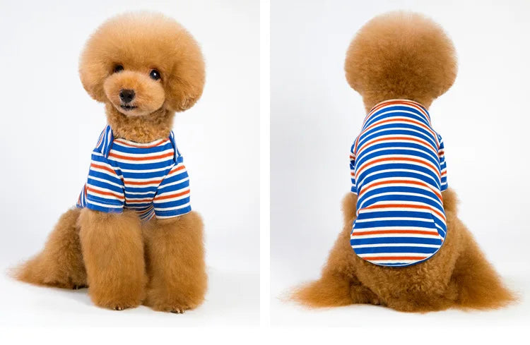 Jacket and Underwear Dog Clothes Autumn and Winter Clothes Small Medium Dog Fleece-lined Thickened Pet Vest Cotton Vest