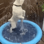 100-200cm Pet Sprinkler Pad Play Cooling Mat Swimming Pool Inflatable Water Spray Pad Mat Tub Summer Cool Dog Bathtub for Dogs