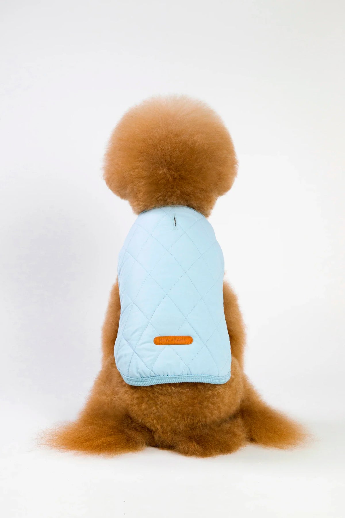 Jacket and Underwear Dog Clothes Autumn and Winter Clothes Small Medium Dog Fleece-lined Thickened Pet Vest Cotton Vest