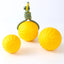Hot-selling Dog Training Pet Ball Biting Pull Ring Pet Toy Frisbee EVA Foam Bite-resistant Dog Toy