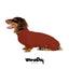 Fashion Red Dachshund Pajamas – Soft Stretch Winter & Spring Clothes for Sausage Dogs