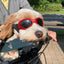Foldable Pet Glasses Dog Goggles Sunglasses Puppy Cat Glasses UV Protection Summer Windproof Dogs Puppy Accessories Pet Supplies