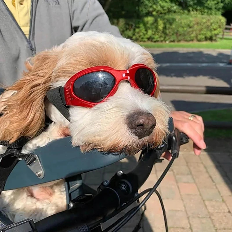 Foldable Pet Glasses Dog Goggles Sunglasses Puppy Cat Glasses UV Protection Summer Windproof Dogs Puppy Accessories Pet Supplies