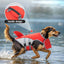 Shark FIN Life Vest for Dog