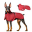 Doberman Winter Coat – Waterproof Warm Vest Jacket for Large Dogs (Bulldog, Labrador, Big Dog)
