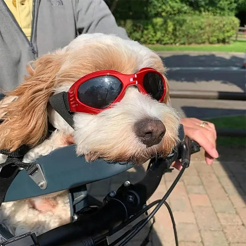 Foldable Pet Glasses Dog Goggles Sunglasses Puppy Cat Glasses UV Protection Summer Windproof Dogs Puppy Accessories Pet Supplies