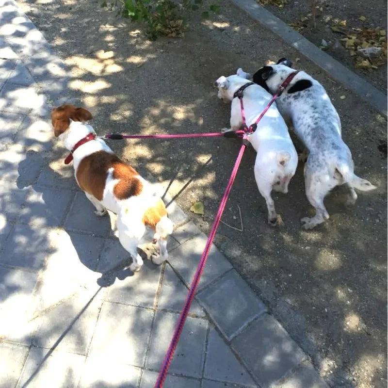 3 Way Couplers Pet Walking Lead 55" Long Nylon Braided Rope Dog Leash For 3 Dogs small dog harness