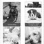 Waterproof Dog Bed 600D Oxford Pet Dogs Beds for All Seasons Thickened PP Cotton Filling Bite-resistant Pet Mat Dog Accessories