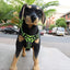 Adjustable Nylon Dog Harness Vest Reflective Soft Breathable No Pull Dog Harness Pet Harness Leash For Small Medium Large Dogs