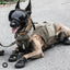 Dog Goggles Sunglasses Anti-UV Sun Glasses Eyewear Protection Adjustable Windproof Sunglasses Pet Dog Supplies For Travel