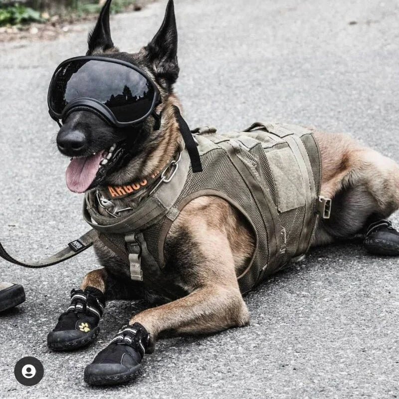 Dog Goggles Sunglasses Anti-UV Sun Glasses Eyewear Protection Adjustable Windproof Sunglasses Pet Dog Supplies For Travel