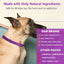Pet Calm Collar Cat Dog Soothe Collar Adjustable Neck Strap Relieve Anxiety Remove Restlessness Protection Relax Pet Supplies