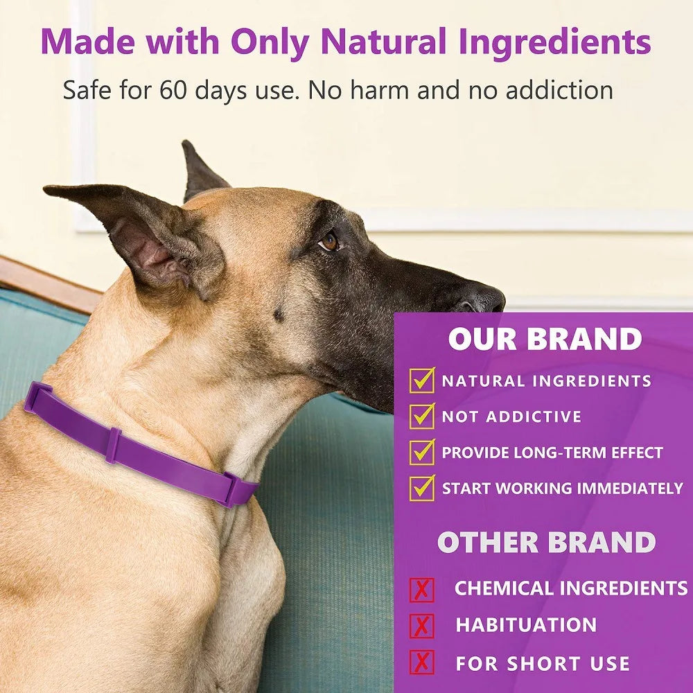 Pet Calm Collar Cat Dog Soothe Collar Adjustable Neck Strap Relieve Anxiety Remove Restlessness Protection Relax Pet Supplies
