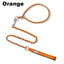 Anti-Bite Dog Leash with Continuous Bite Resistance