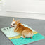 MADDEN Summer Cooling Pet Beds for Dogs Durable Scratch Resistant Waterproof Breathable Cat Mat Pad Sofa Pet Supplies