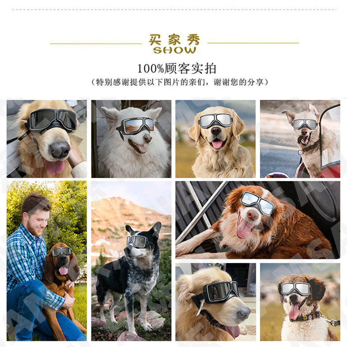 Pet Glasses New Dog Locomotive Glasses Sunglasses Medium and Large Dog Goggles Windproof Sunscreen Pet Accessories