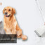 Professional Dog Hair Clipper Pet Trimmer Cat Shaver Animal Foot Hair Cutting Machine Grooming Kit for Sheeps Rabbits