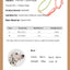 Pet Supplies Dog Collar For Small and Medium Dog Walking Sugar Color Series Cute style PVC Webbing Collar Leashes Set 2024 New