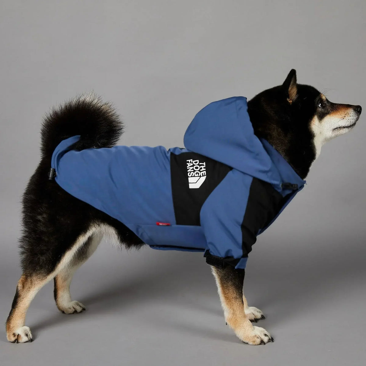 Small Dog Raincoat Clothes for Small Big Dogs Wind Coat Windbreaker French Bulldog Hoodie Octdoor Raincoats Dog Costume Coat
