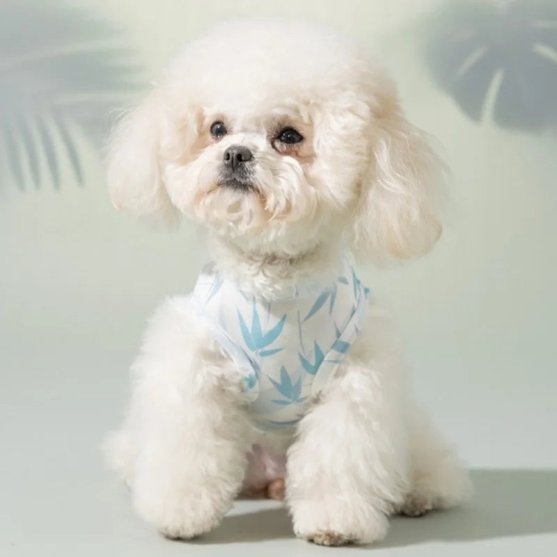 Summer Dog Cool Clothes Fashion Dog Vest Breathable Puppy Sunscreen Clothing Cute Print Cat Vest with Pocket Pet Pullovers Shirt
