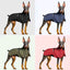Doberman Winter Coat – Waterproof Warm Vest Jacket for Large Dogs (Bulldog, Labrador, Big Dog)