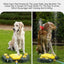 Dog Water Sprinkler Toy， Outdoor Splash Pad Puppy Drinking Dispenser， Interactive Dog Toys