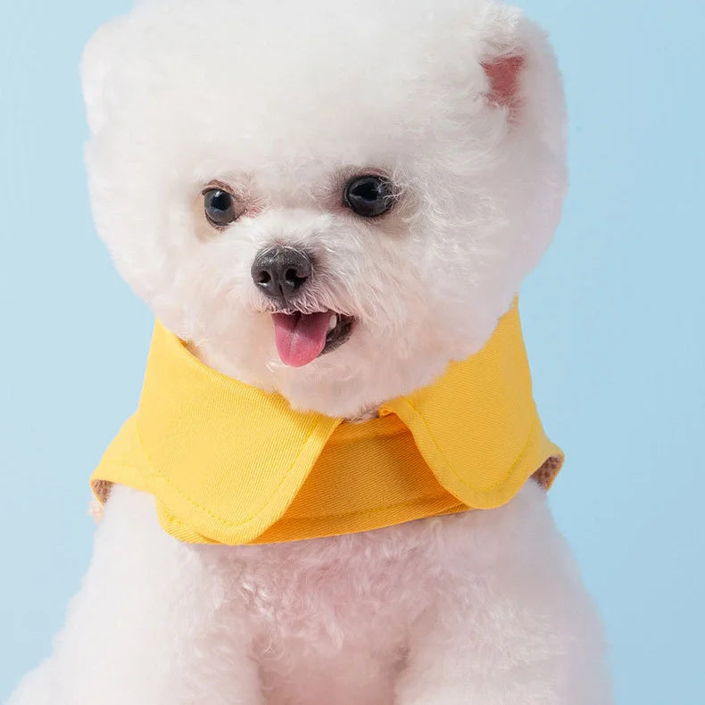 Puppy Cute Pet Vest Solid Dog Harness and Leash Set Pocket Bear Pet Clothes for Chihuahua Yorkie Walking Training Cat Dog Chain