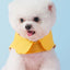 Puppy Cute Pet Vest Solid Dog Harness and Leash Set Pocket Bear Pet Clothes for Chihuahua Yorkie Walking Training Cat Dog Chain